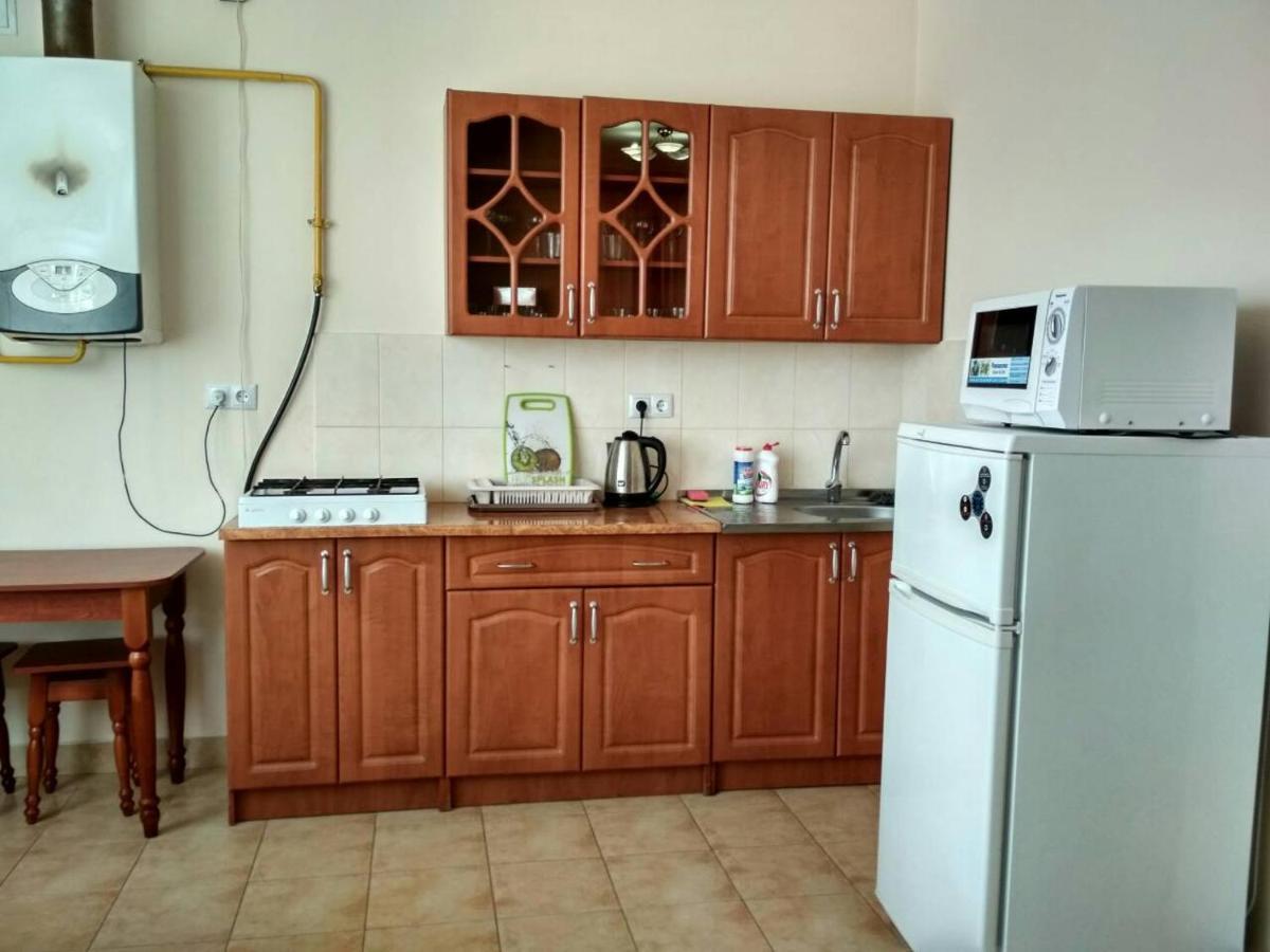 Apartments Domovik Просторная Квартира С Видом На Горы Moekatsjeve Buitenkant foto